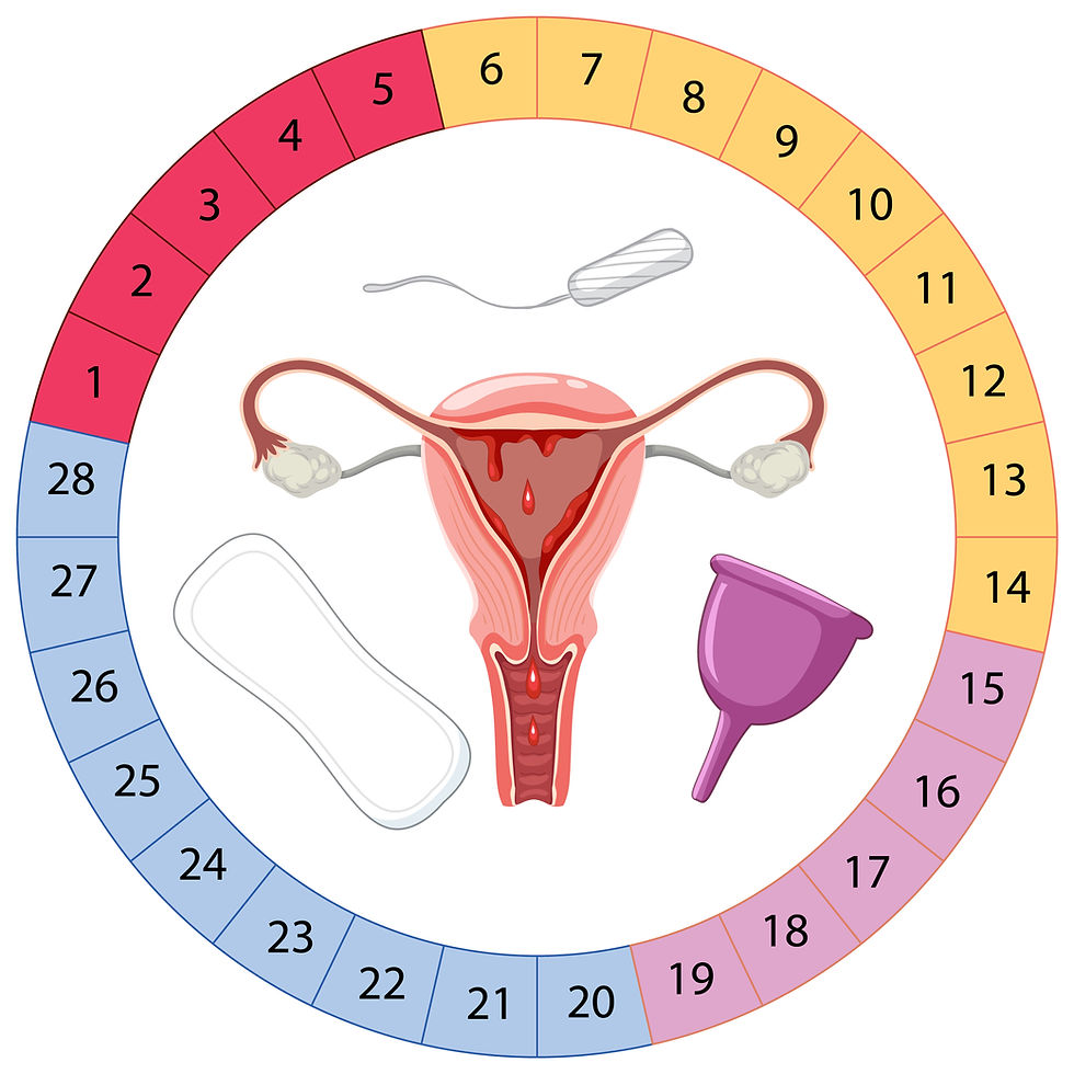 Alterações no ciclo menstrual que não devem ser ignoradas