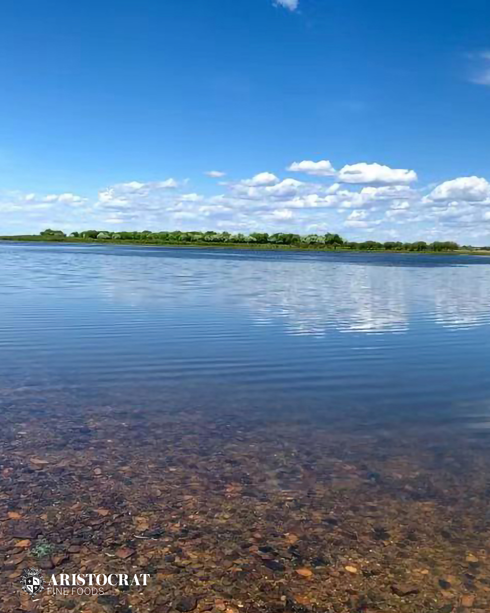 Amur River caviar source in Heilongjiang China with clear river water and natural sturgeon habitat.