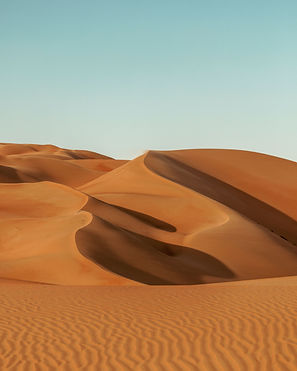 2_3_doc_dubai_043.jpg
