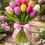 Thumbnail: Assorted. Tulips