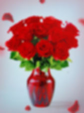 Red Rose 🌹  sale  doz   Med stem