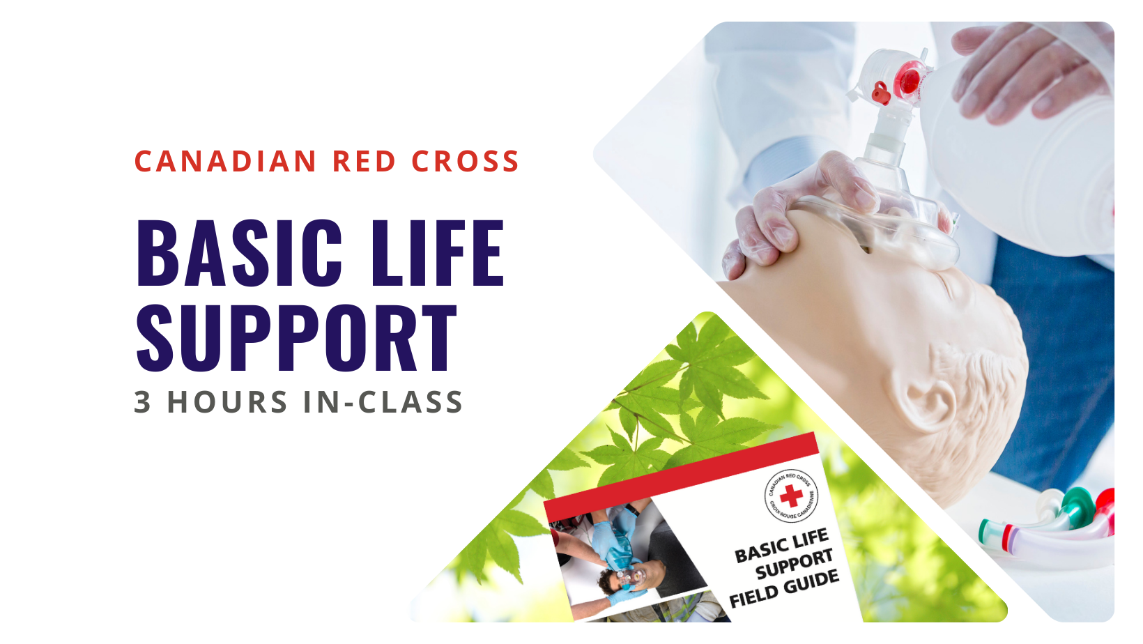 Basic Life Support (BLS/HCP) (*includes AED training) Course Dates