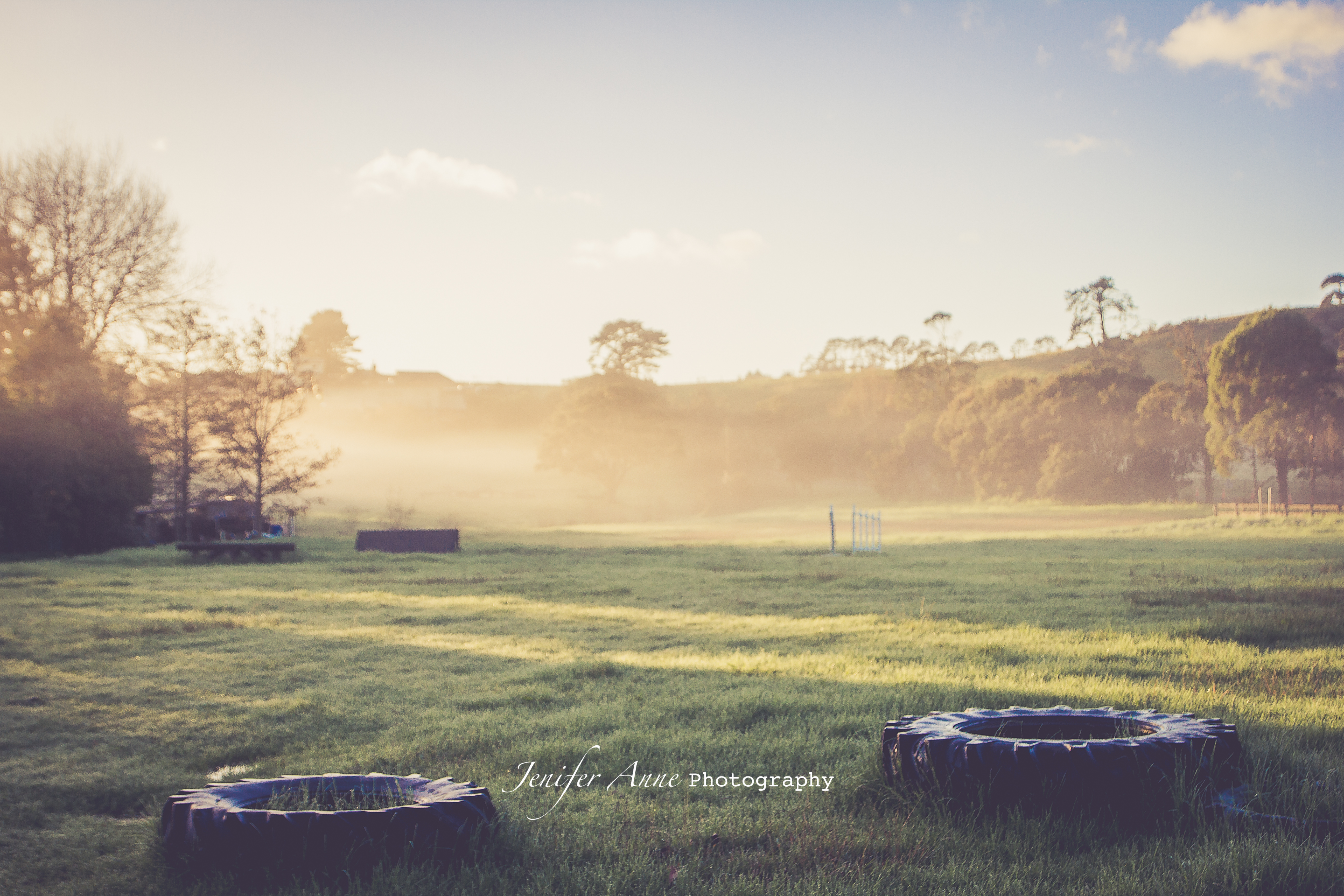 Muriwai Countryside