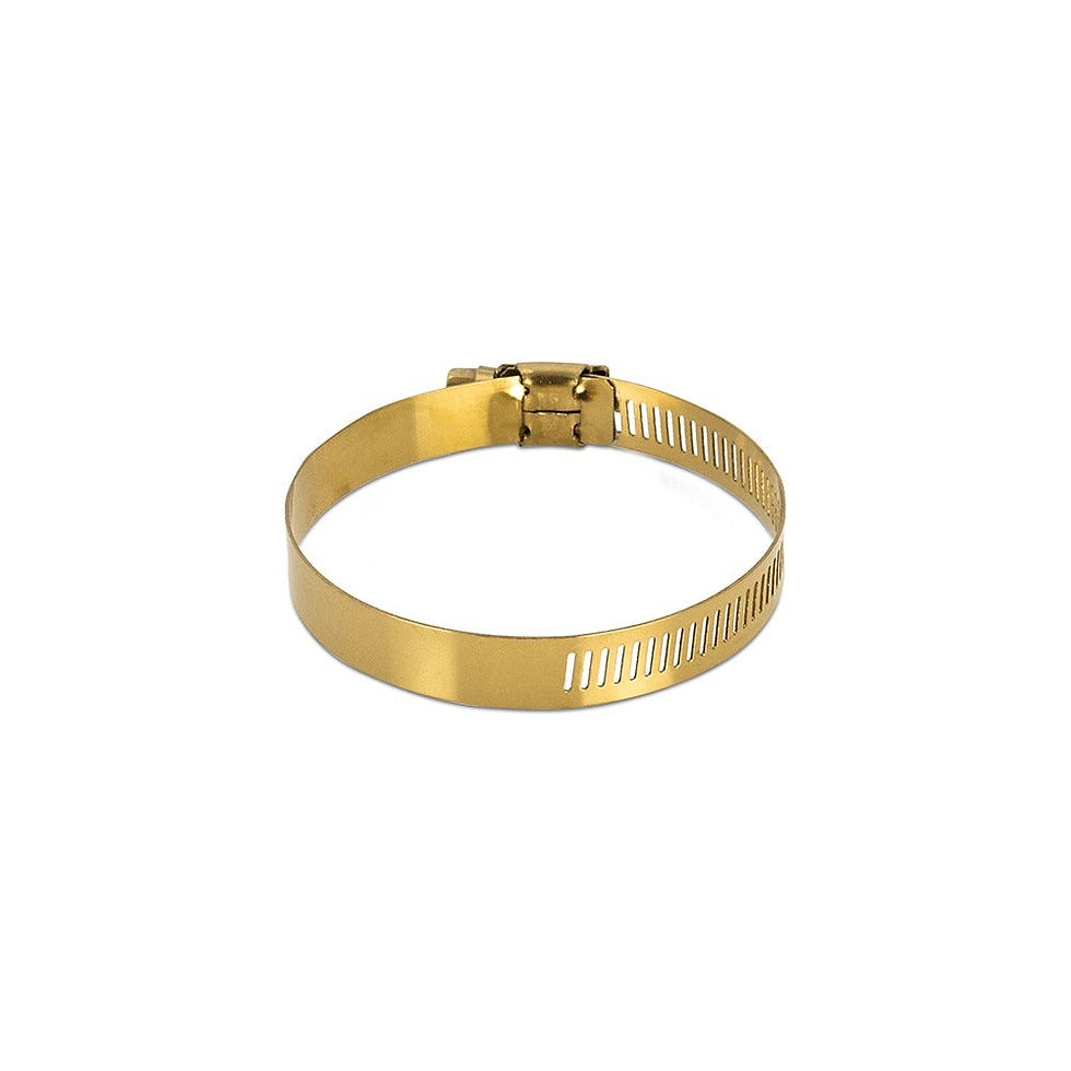 2x High-Torque Worm Gear Clamp, Gold, 127mm — photo 2