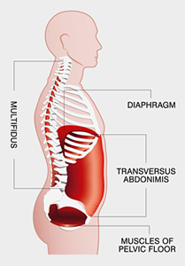 anatomical depiction of the core as a pressurised cannister