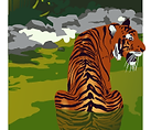 week 11 portfolio- tiger in a river (triadic colour scheme).png