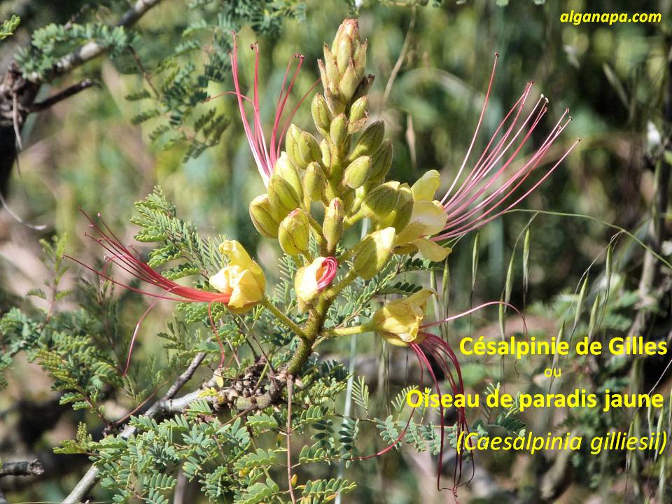 Diapositive021