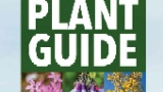 The Rocky Mountain Plant Guide - by George Oxford Miller (Paperback)