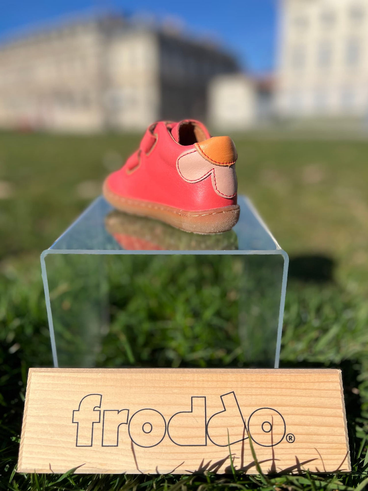 Nouvelle Collection Printemps 2024 de Chaussures Enfant FRODDO chez DKS Grenoble !