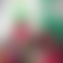 Vì sao nên chọn trường mầm non Montessori song ngữ cho trẻ?
