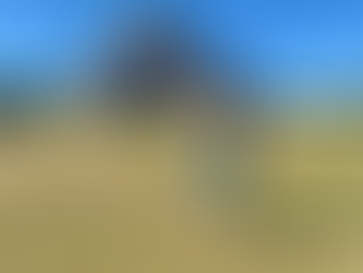 Chilling in Chitzen Itza