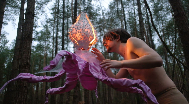 bos bloem v2_Moment 5.jpg