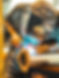 IMG_2527(1).jpeg