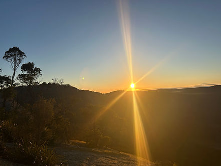 uuid=9B58A6C4-1C4B-4FD0-8FED-7E9562DD8101&code=001&library=1&type=1&mode=2&loc=true&cap=tr