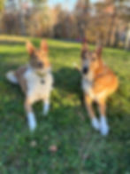 tess and frankie.2nd attempt photo.julia chidester.jpeg