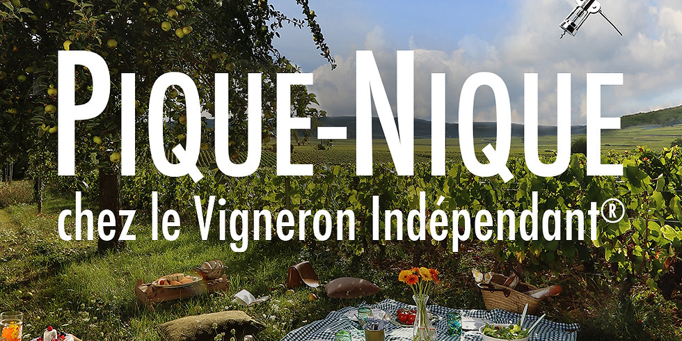 Pique-nique vigneron domaine Montaude 2021
