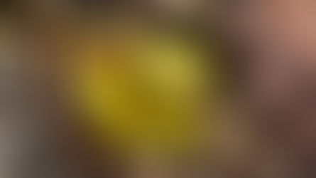 Kreisläufe der Verwandlung