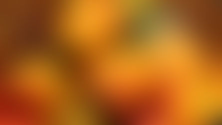 Tugenden dürfen reifen