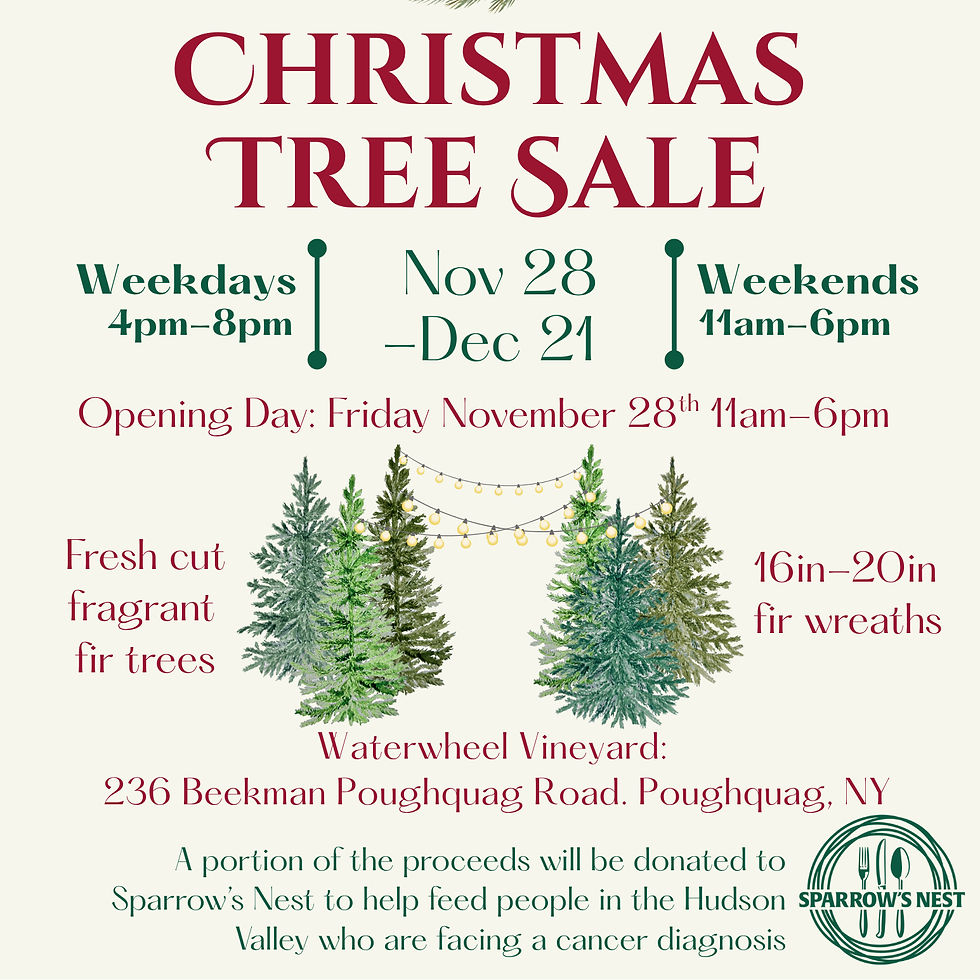 Holiday Christmas Tree Sale