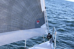 Dehler 38 (2016)