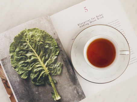 Top 10 Pregnancy + Parenting Reads