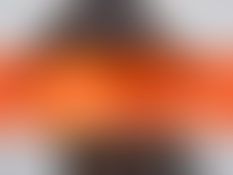 Een hond dat op een speeltje kauwt.