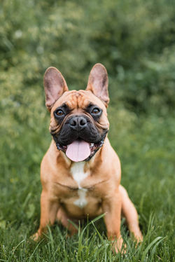 516900627_10165684533139942_5527119731761670630_n