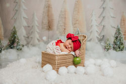 601171668_1458555876277484_1140248495060987317_n