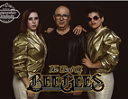 bee gees.png