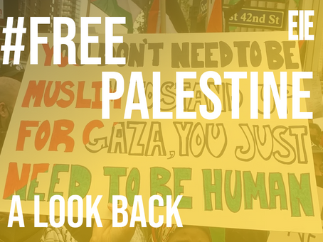 #FreePalestine: A Look Back