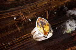 Ring Goldfluss