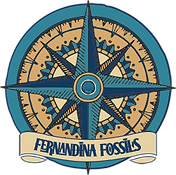 fernandina-fossils.png