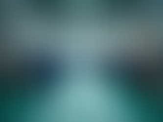 Custom Approval System Development