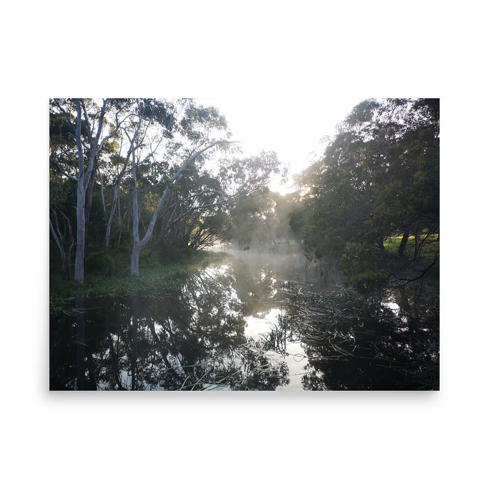 Thumbnail: New Neighbours : Early Winter Matte Print