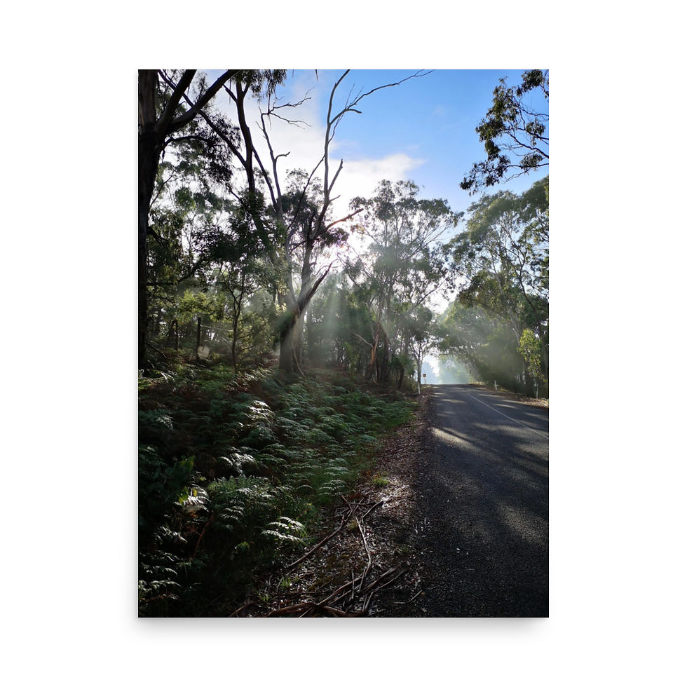 Thumbnail: Welcome Photo Matte Print