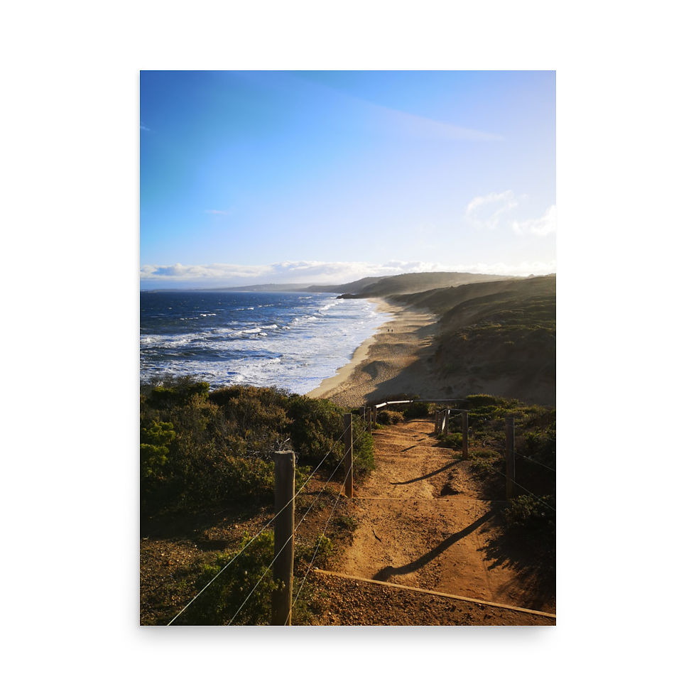 Thumbnail: New Neighbours : Late Summer Photo Print