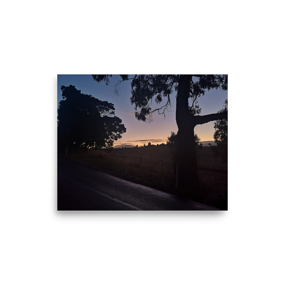 Thumbnail: New Neighbours : Late Autumn Photo Print