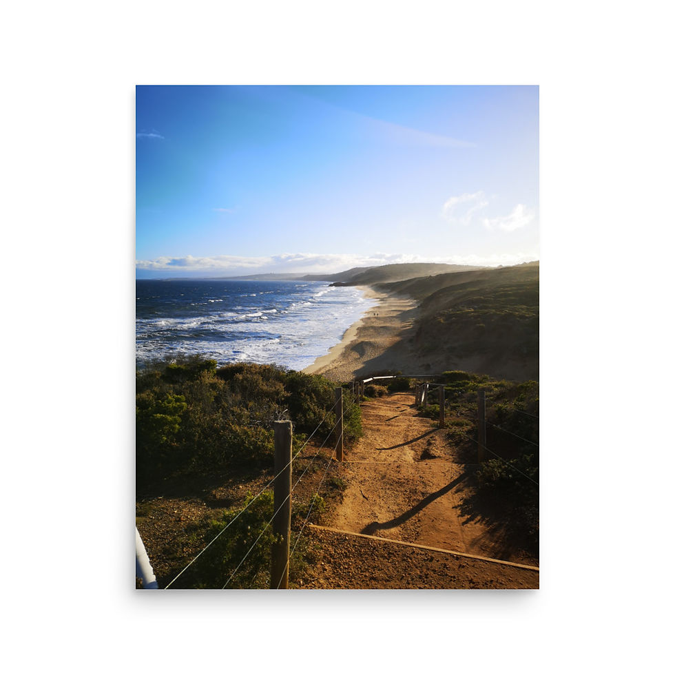 Thumbnail: New Neighbours : Late Summer Matte Print