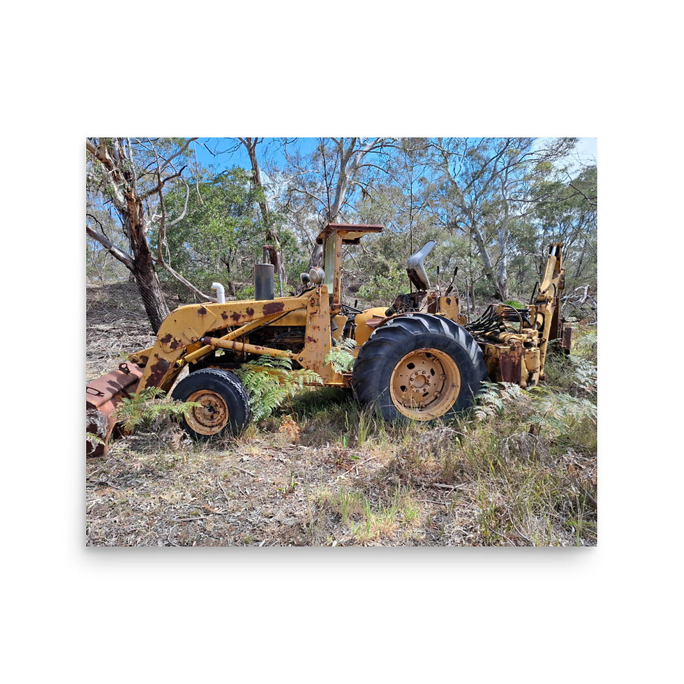 Thumbnail: New Neighbours : Early Spring Matte Print