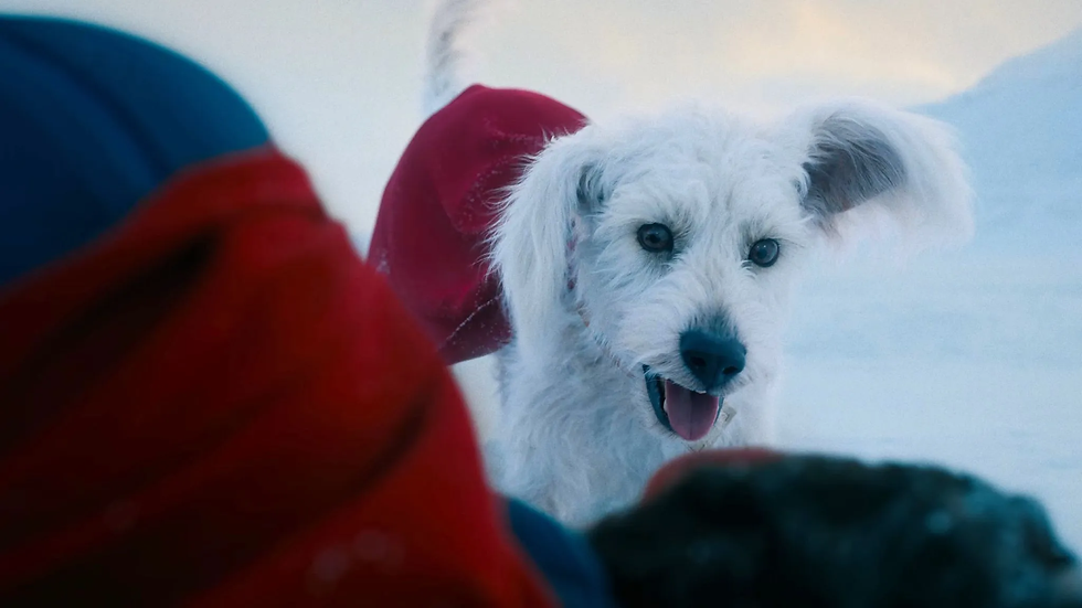 Krypto the Superdog