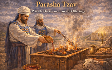 Parasha Tzav 