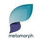 metamorph Panalyt People Analytics Partner