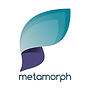 metamorph Panalyt People Analytics Partner