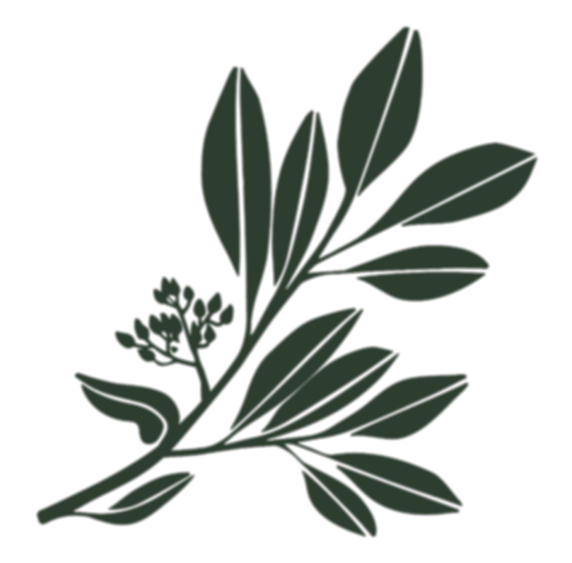 LOGO PARSEME-02_edited.png