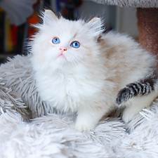 IMG_8735_edited.jpg