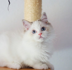 IMG_1887_edited.jpg