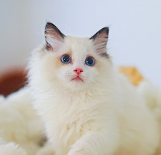 IMG_1307_edited.jpg