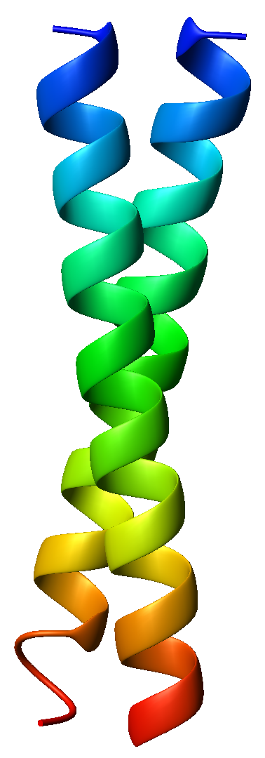 GCN4_coiled_coil_dimer_1zik_rainbow