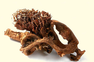 pasuchaca-geranium-dielsianum.jpg