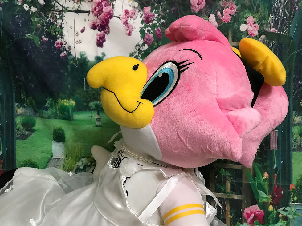 サムネイル： 【福岡ソフトバンクホークス】ハリーくんとハニーちゃん(大)ぬいぐるみに着せられる衣装セット(ぬいぐるみ含まず